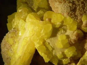Sulfur sulfur 300x225 Sulphur, amante del buen vivir