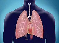 bronquitis bronquitis1 ¿Cómo curar la bronquitis con homeopatía?