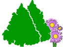 Homeopathyandmore Homeopathyandmore Buscador de remedios on line